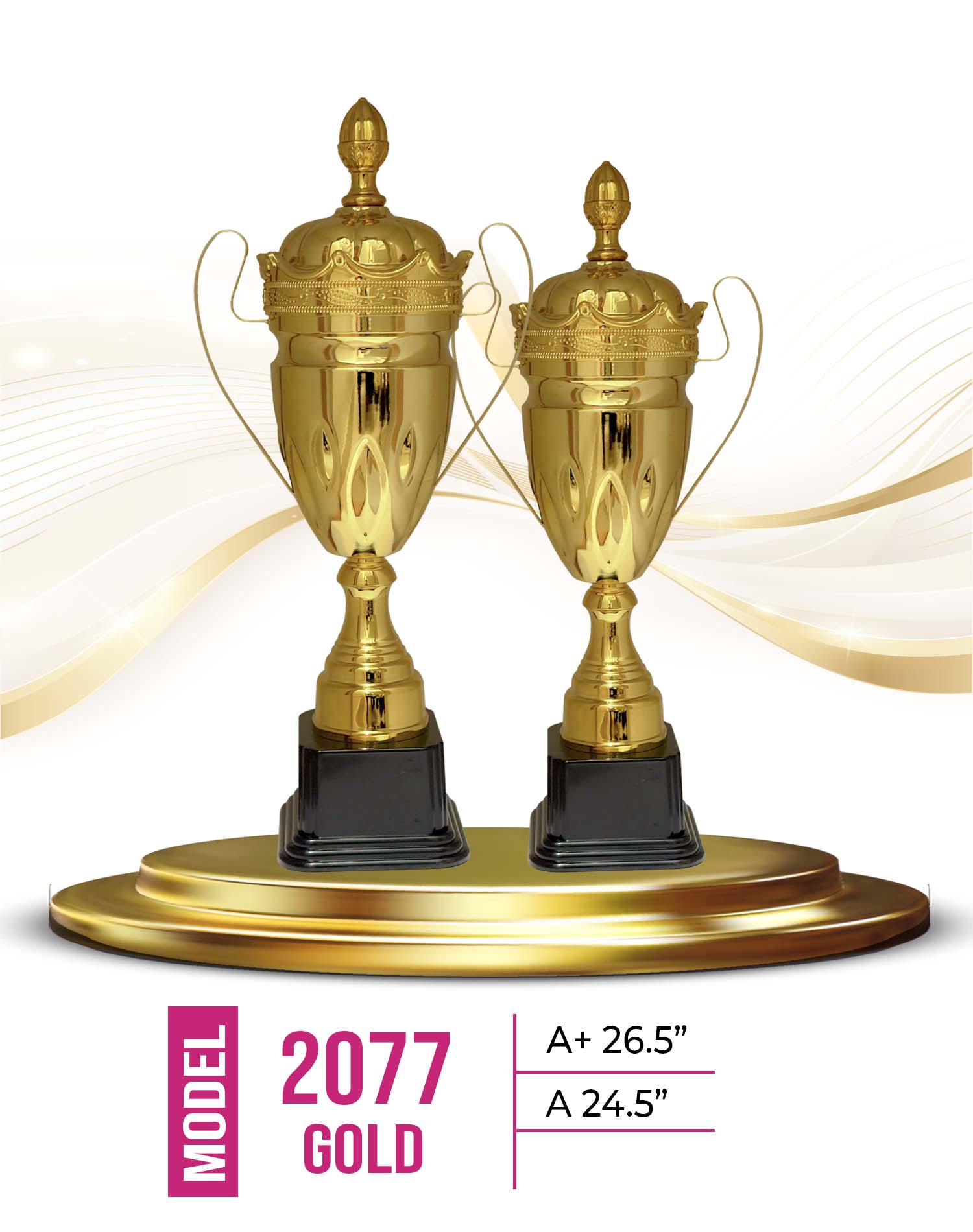 Metal Trophy 2077-G