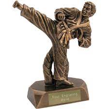 Karate Awards