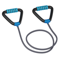 Fitness Bands