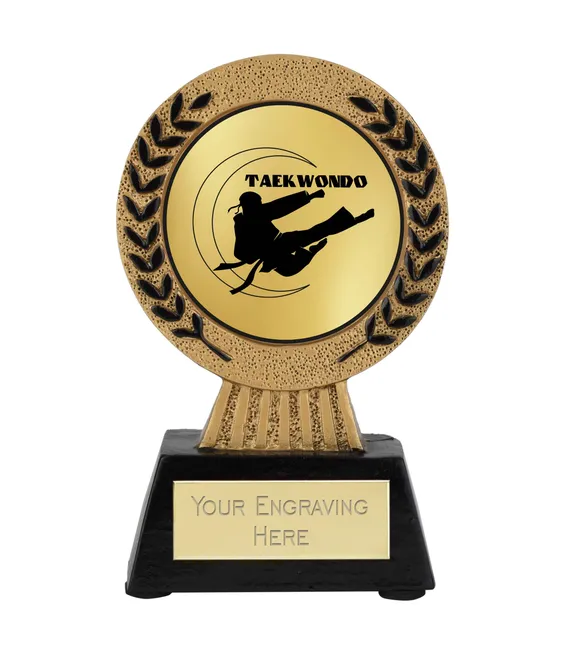 Taekwondo Awards